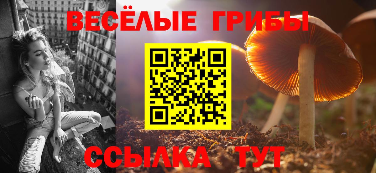 Канабис  Вход с VPN  Альфа ПВП СК   Меф МЯУ МЯУ кристаллы  COCAIN  МЕТ  Экстази  Зерноград  МАРИХУАНА  Гашиш 