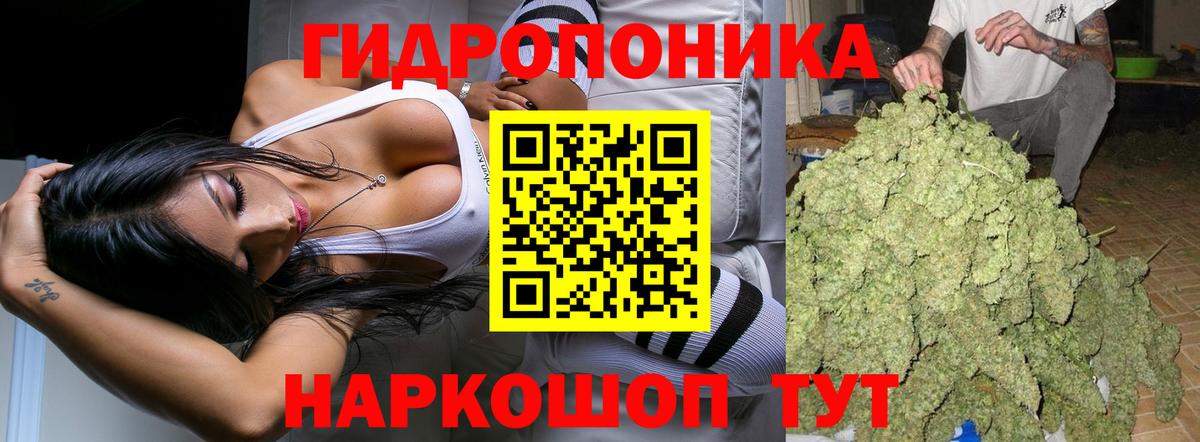 Каннабис семена  Вход с VPN  Конопля MAZAR  Зерноград  Бошки марихуана Ganja  МАРИХУАНА Bruce Banner 